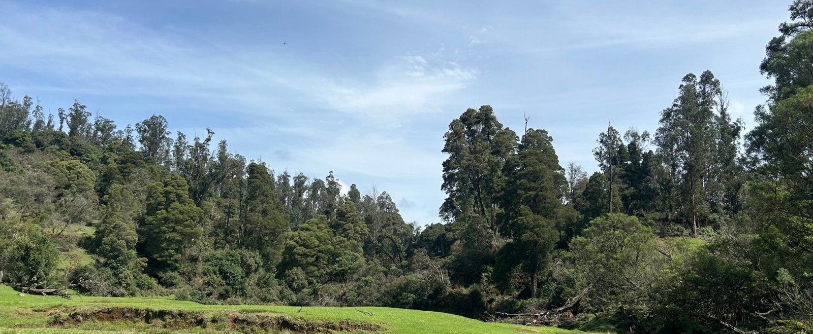 Parson Valley Trek